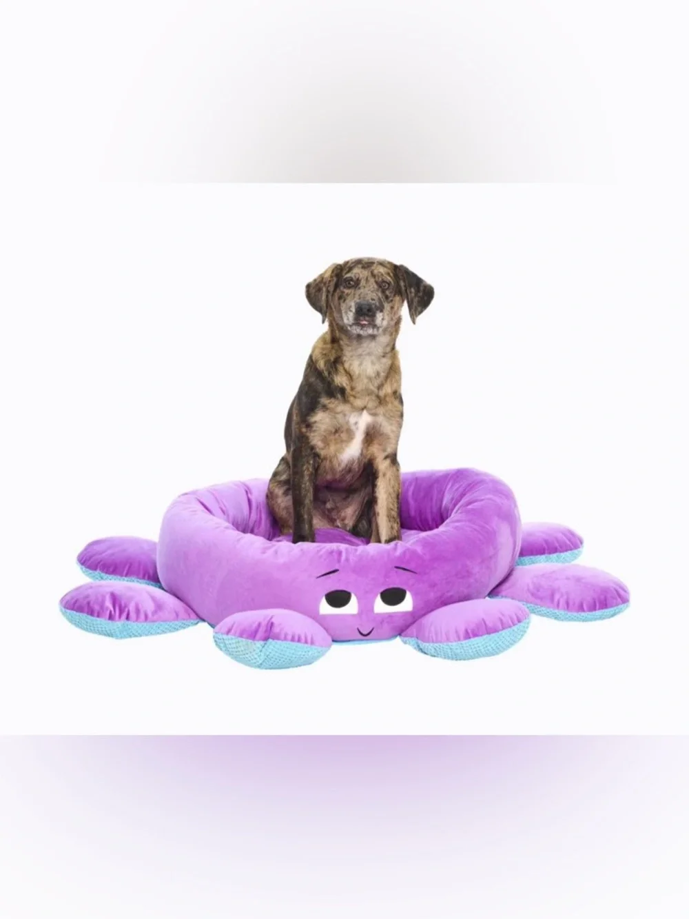 BARK Ollie the Octopus Dog Bed With 2 Plush Detachable Dog Toy Limbs
